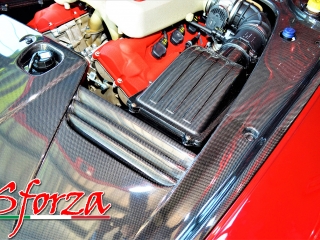 Ferrari 599 carbonio motore rossa