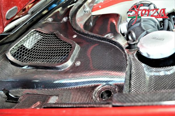 Ferrari 599 carbon front Windshield panel rh