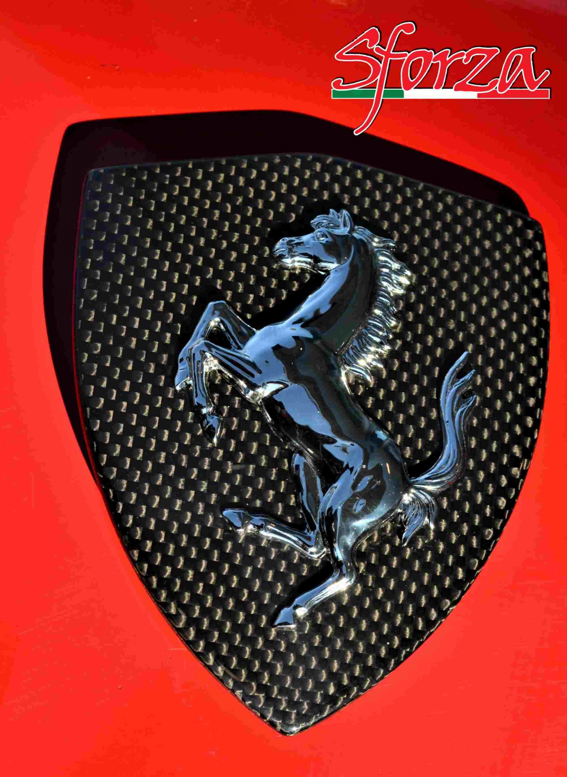 Ferrari 488 & F8 Carbon Einstiegsleiste link & rechts Aufschrift